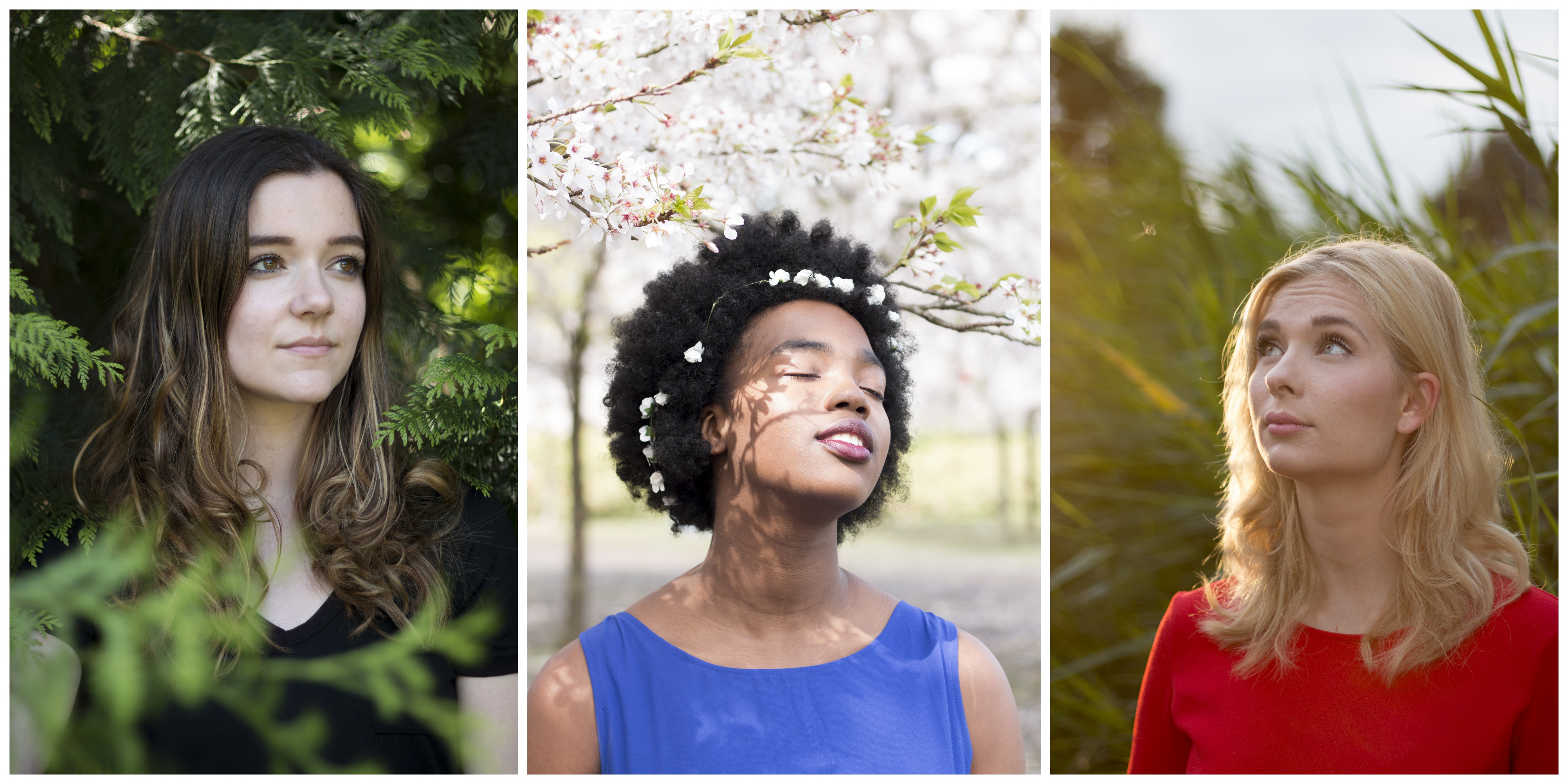 Serie – Botanical Dreams